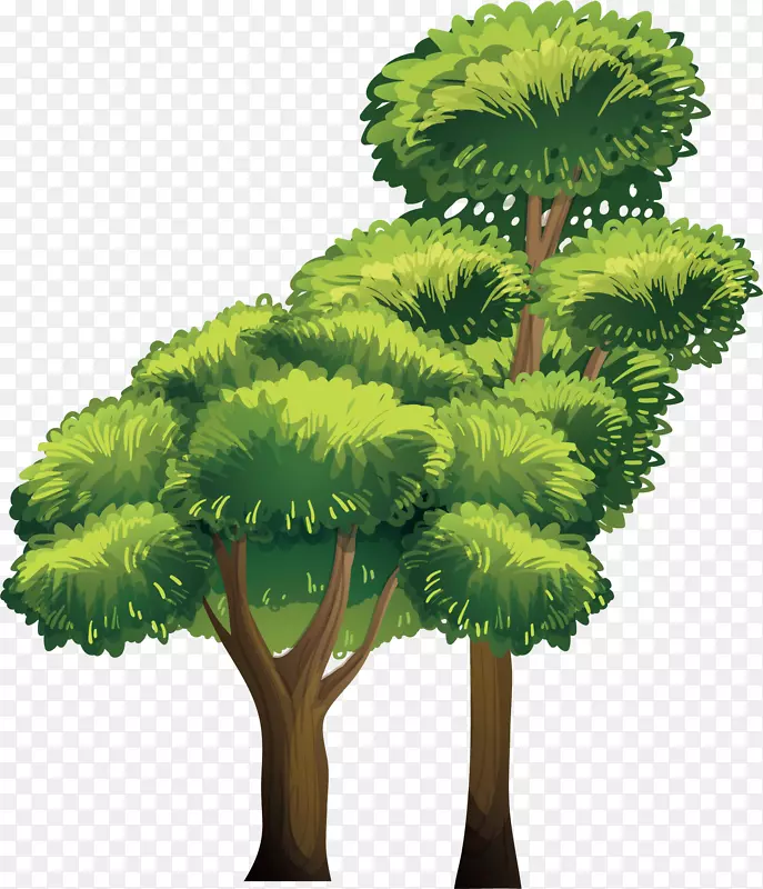 ����������ͨ����-������