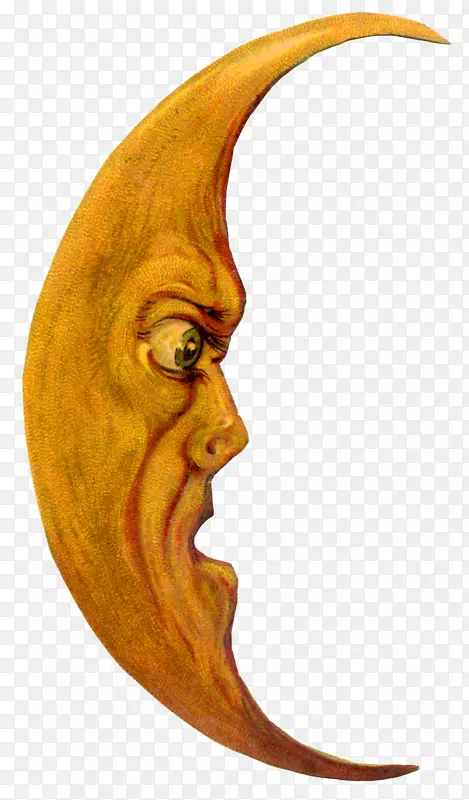 �����ز��ֻ�����ͼƬ-������