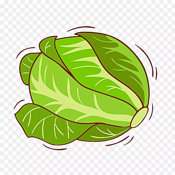 ���Ĳ�-������