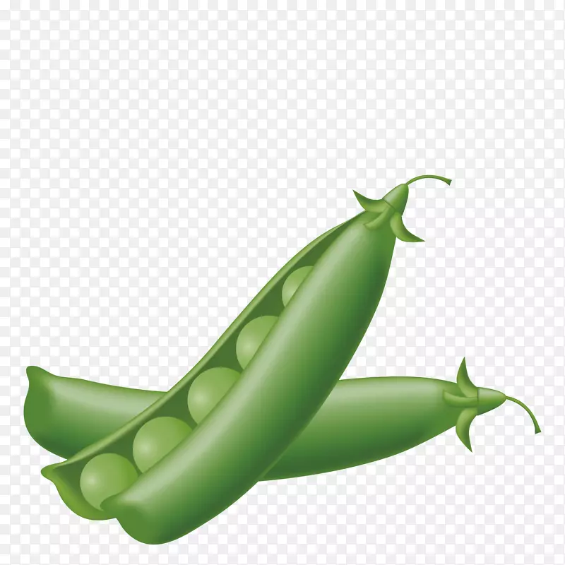 ��ɫ�Ŀ�ͨ�㶹Ч��ͼ-������