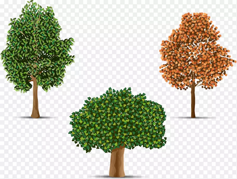 ���ñ���Ĵ���-������