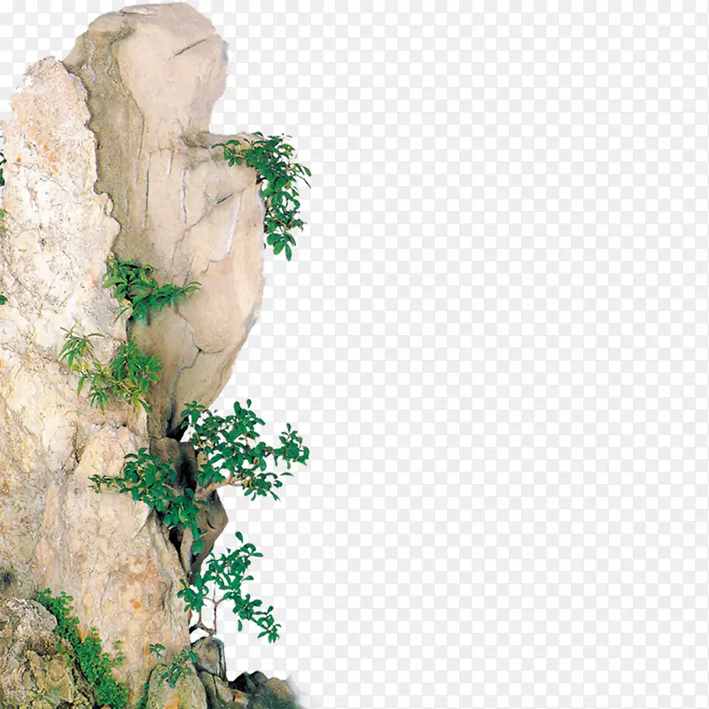 ʯ��С��-������