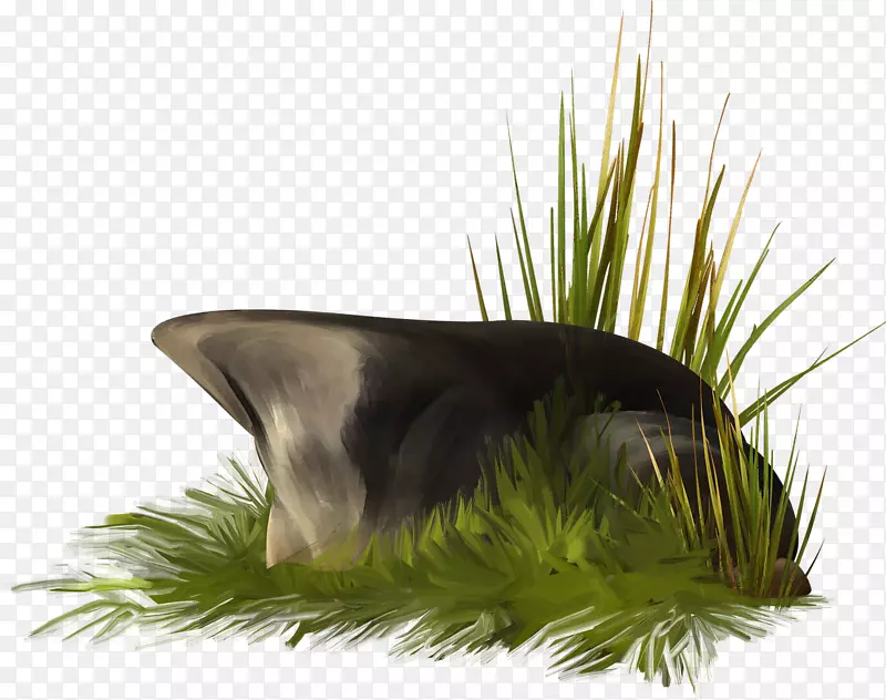 ʯ���е�С��-������