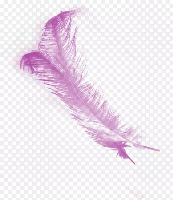 ��ɫ��ë-������