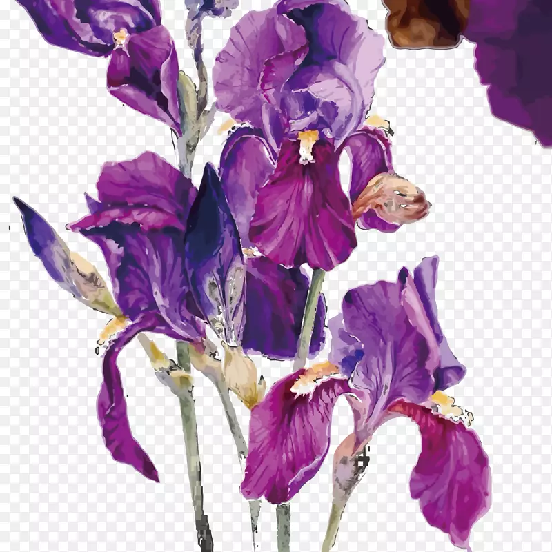 ʸ��������-������