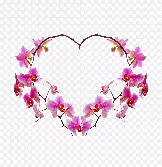 ��������֯�İ���-������