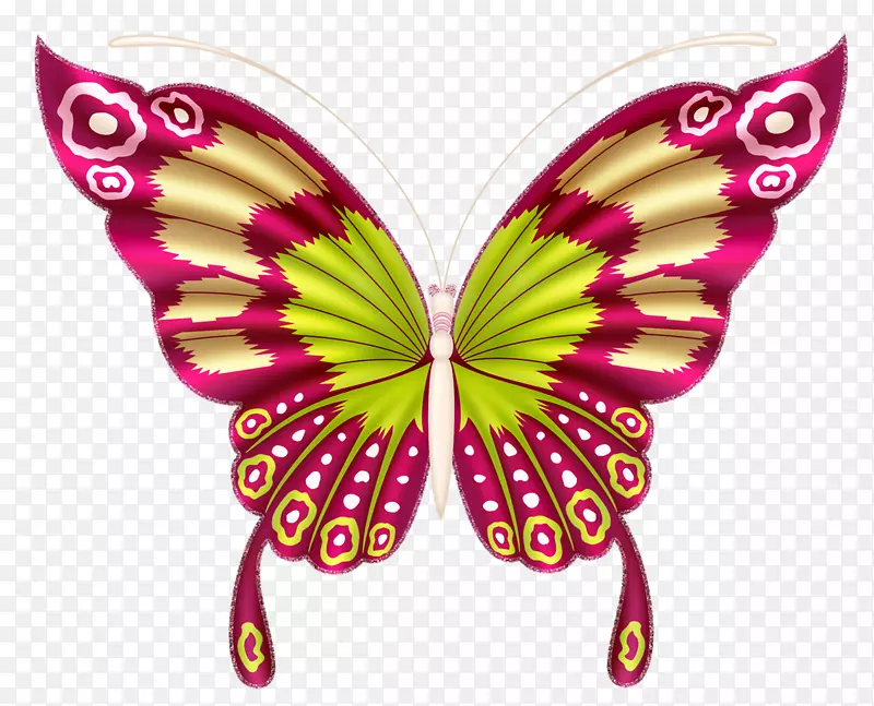 �����ĺ���-������