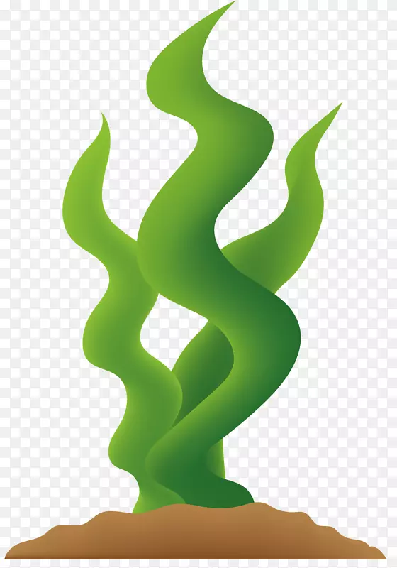 ����ʸ��������ɫ����-������