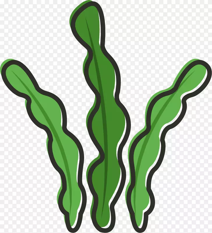 ����ʸ����ɫ����-������