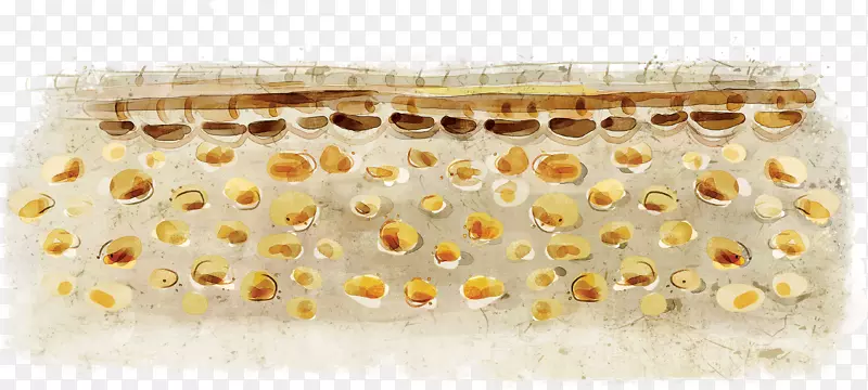 �ֻ��ɫ����ʯ����-������