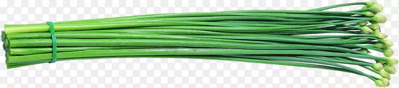 �߲˸����ز�ͼ-������