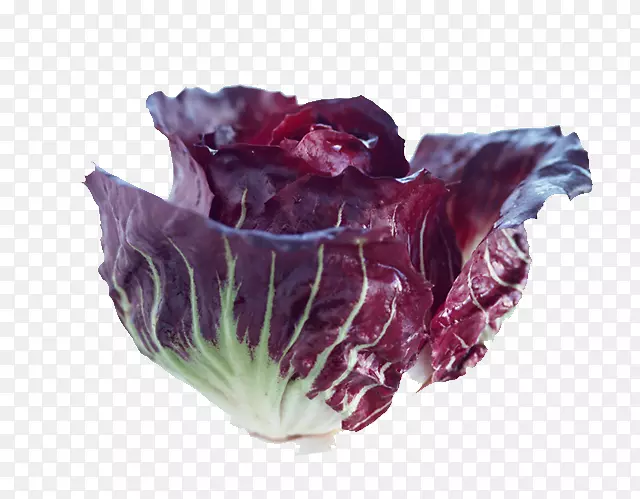 ʳ���ϲ�-������