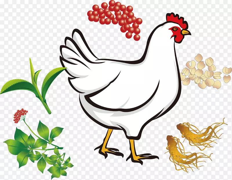 ��ͨ��ҩ���������-������