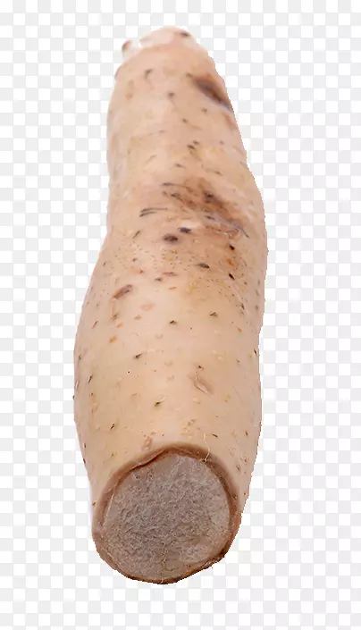 ɽҩ����-������