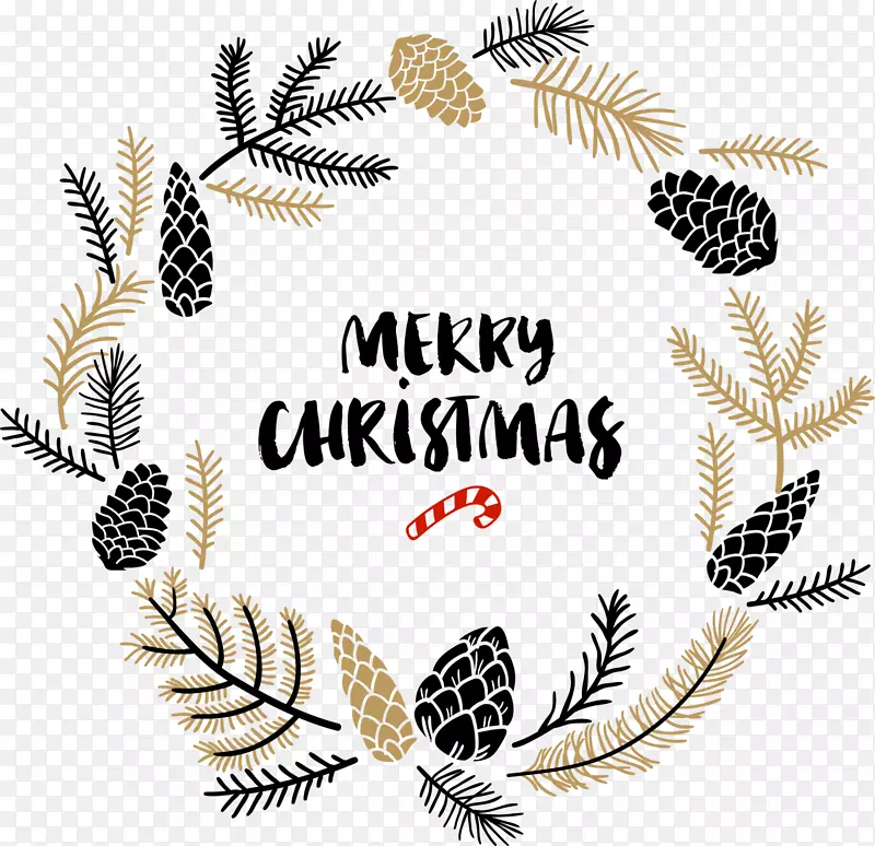 ��ɫʥ������֦��Ȧ-������