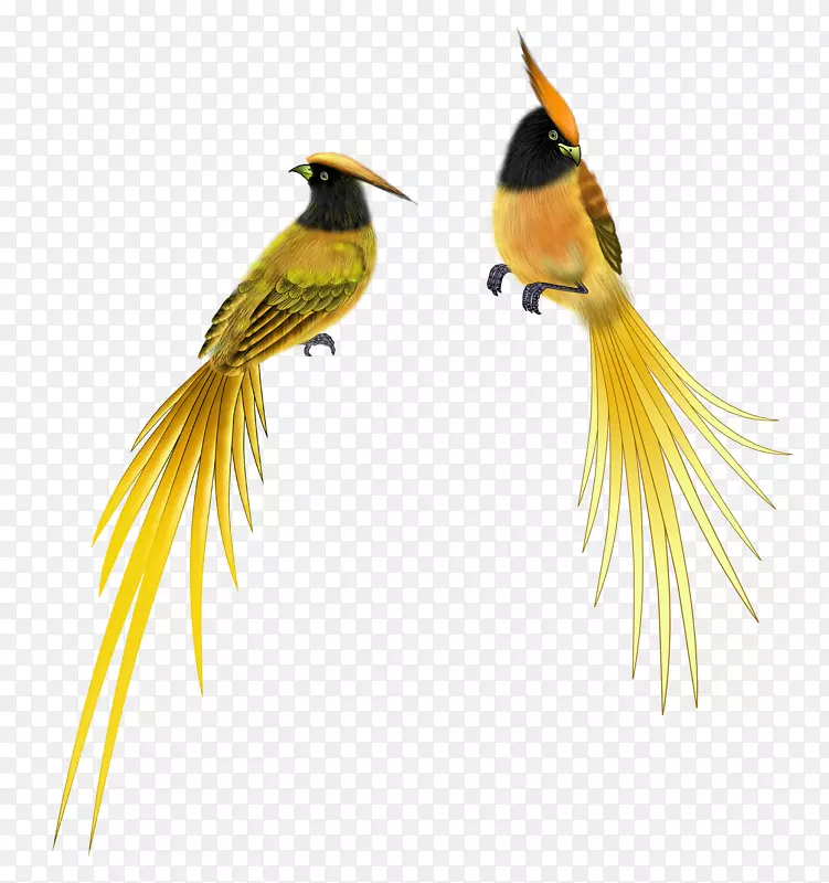 ���ز�-������