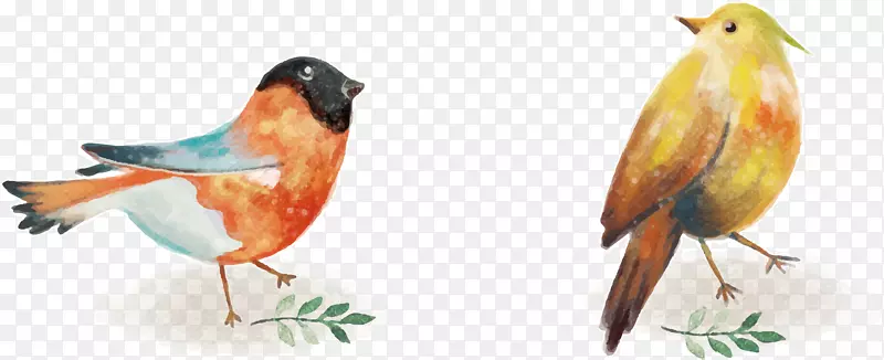 ʸ��ϲȵ�ز�-������