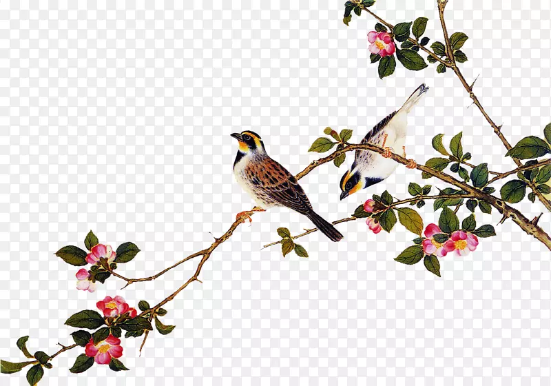 ��֦�ϵ�С��-������