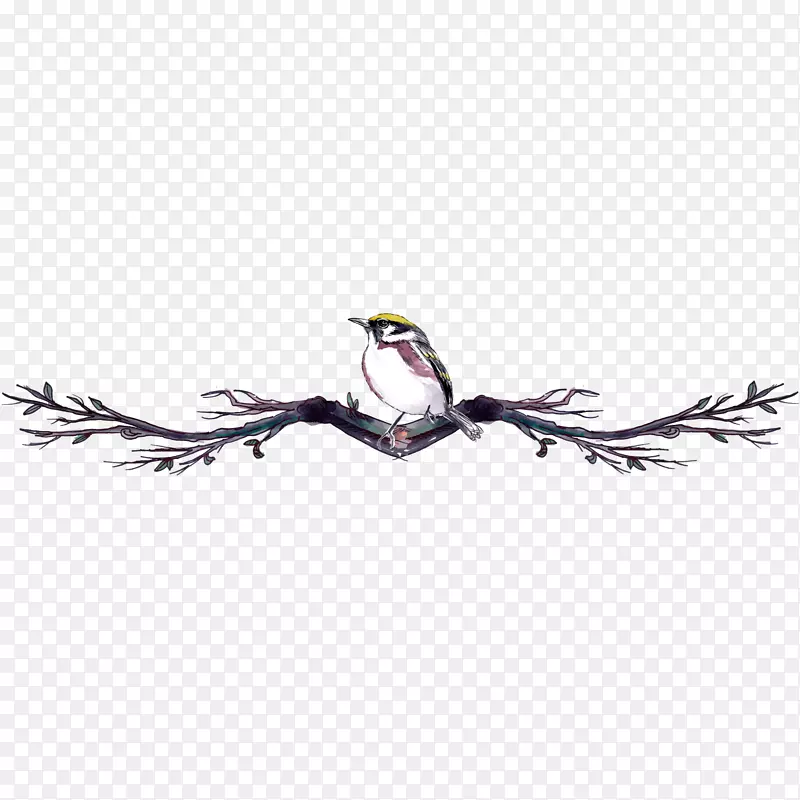 �ֻ�ˮ����֦�ϵĶ���-������