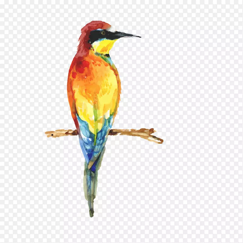 �ʻ���֦�ϵ��ȴ���ʸ��ͼ-������