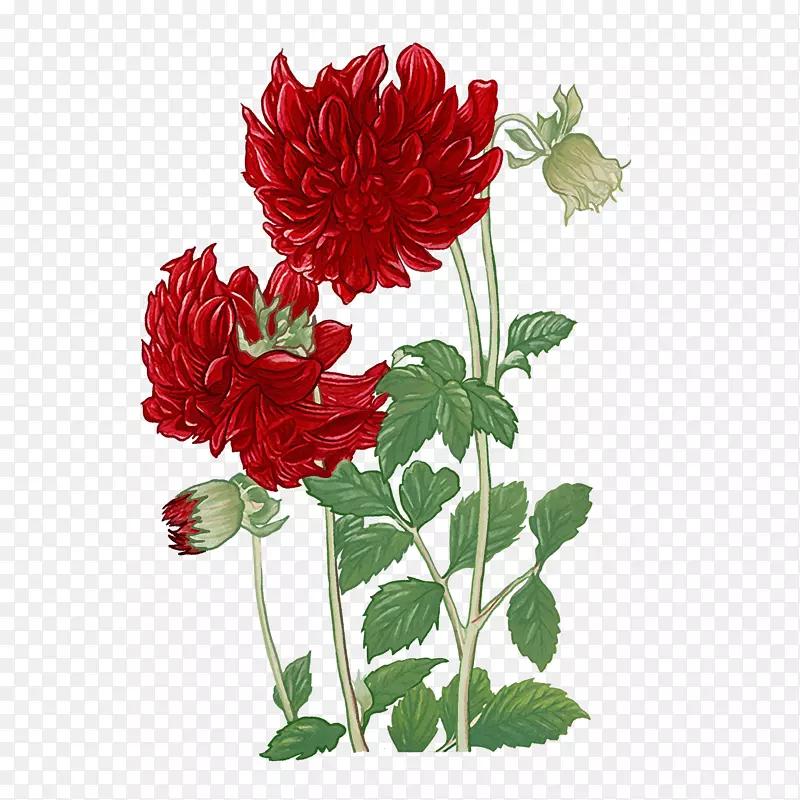 �����ֻ滨�ز�3-������