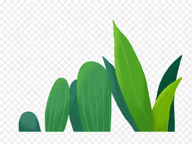 �����ֻ滨�ز�9-������