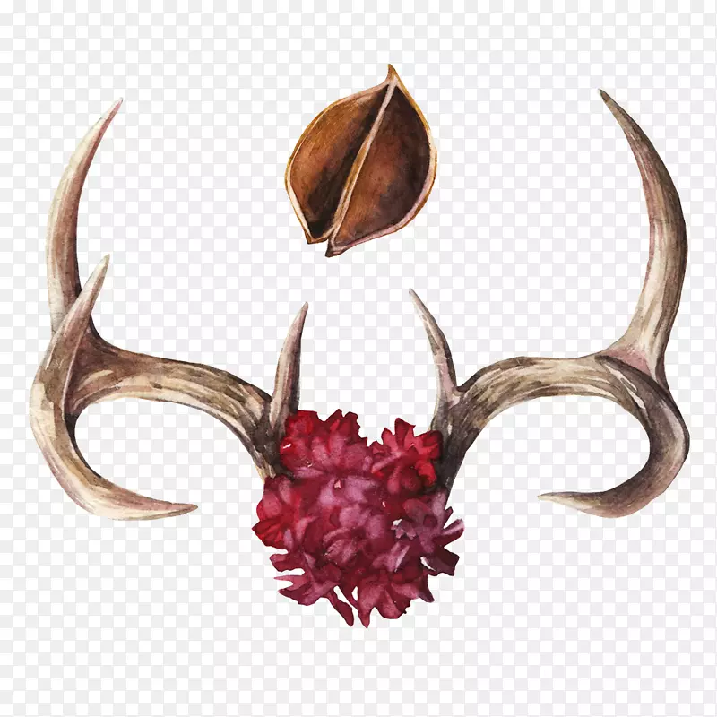 ��ή��֦�ϵĻ���-������