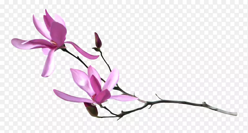 ��ɫ��������-������