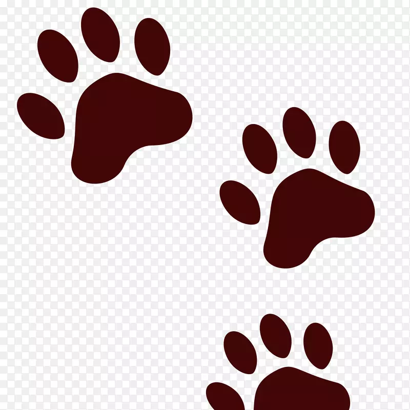 �������צ��-������