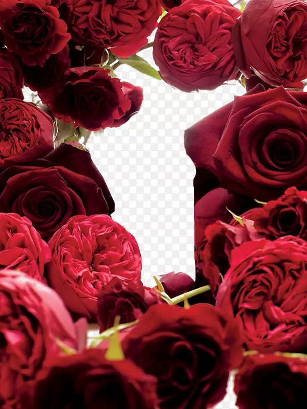 õ�廨����-������