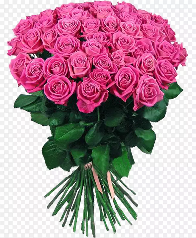 һ��õ��-������