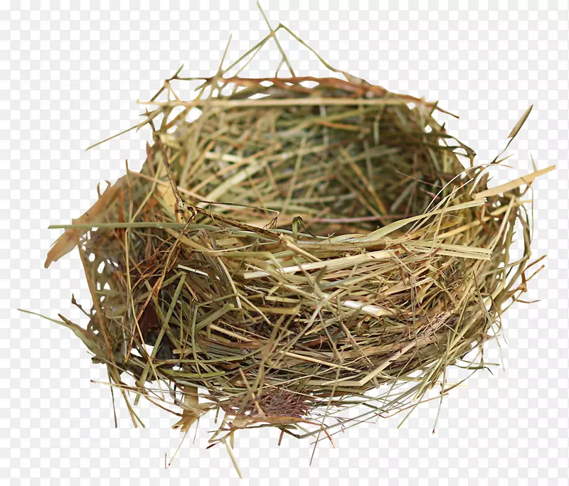 ����-������