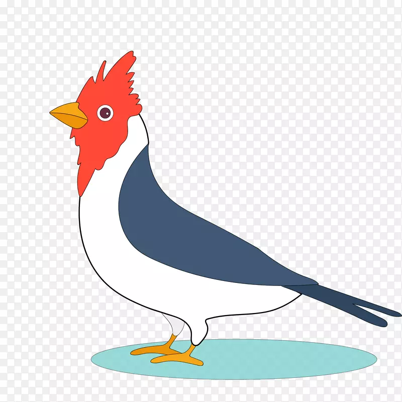 ��ͨҰ��PNG����-������