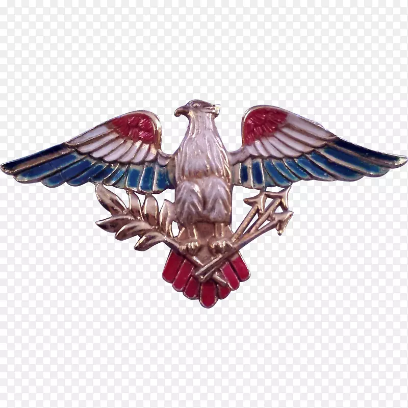 �������ӥ����-������