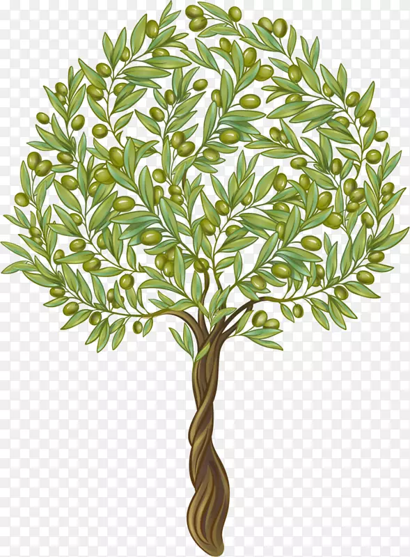 ���ⰻȻ��ɫ����-������