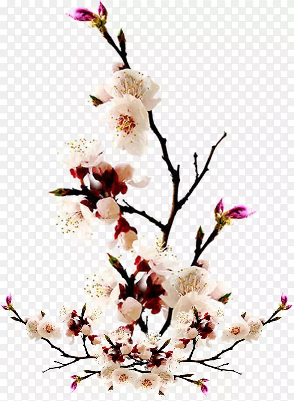 ˮ��ֲ���һ�-������