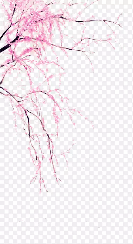 �һ���֦�ʹ�װ��ͼ��-������