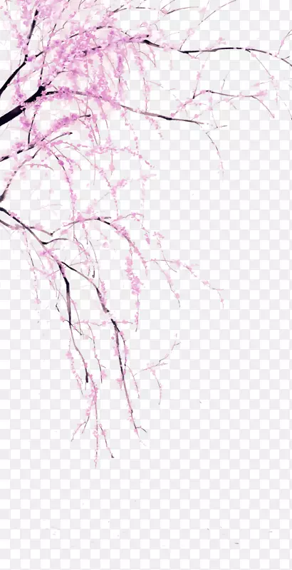 ��ɫ�һ���֦װ��ͼ��-������