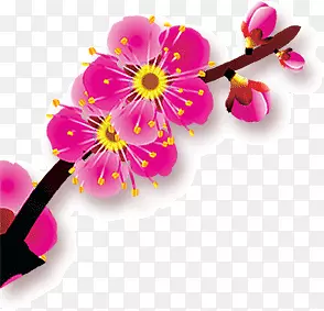 ����֦���һ�-������