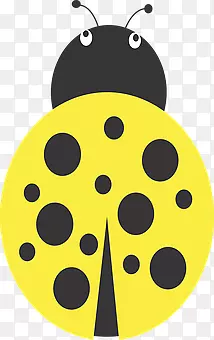 ��ͨ����ư��-������