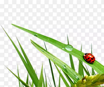 С��Ԫ��-������