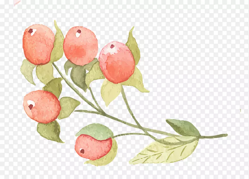 �ֻ��ɫ����png�ز�-������