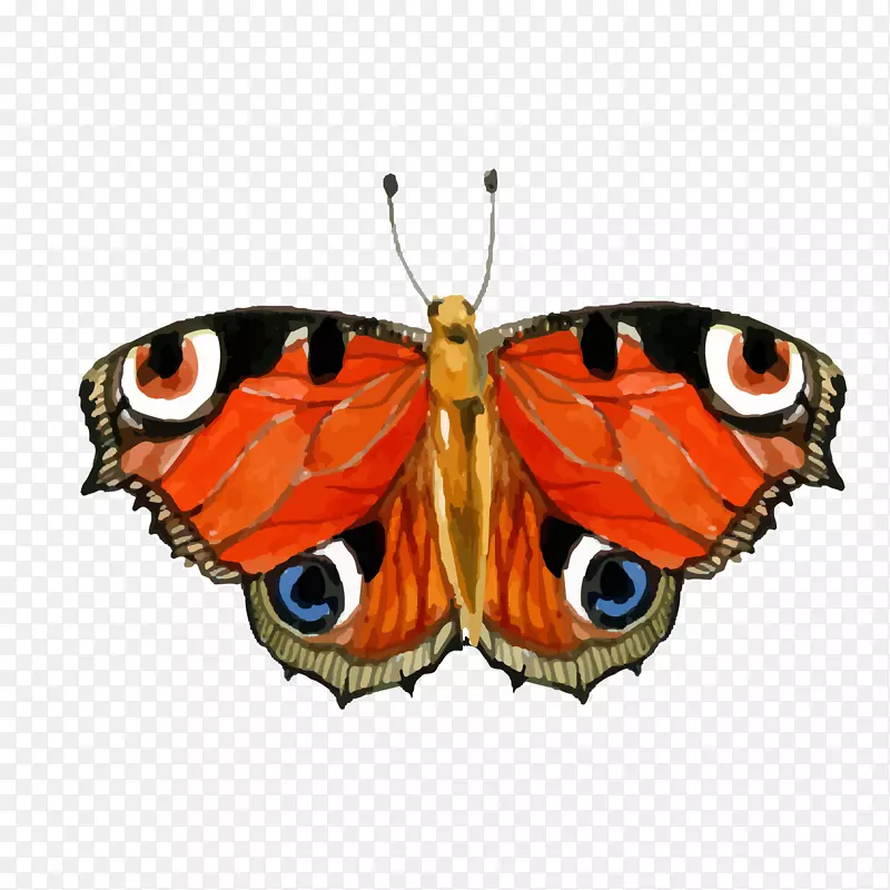 ��ͨ��ɫ�ĺ����������-������