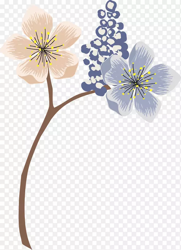 ���������֦-������