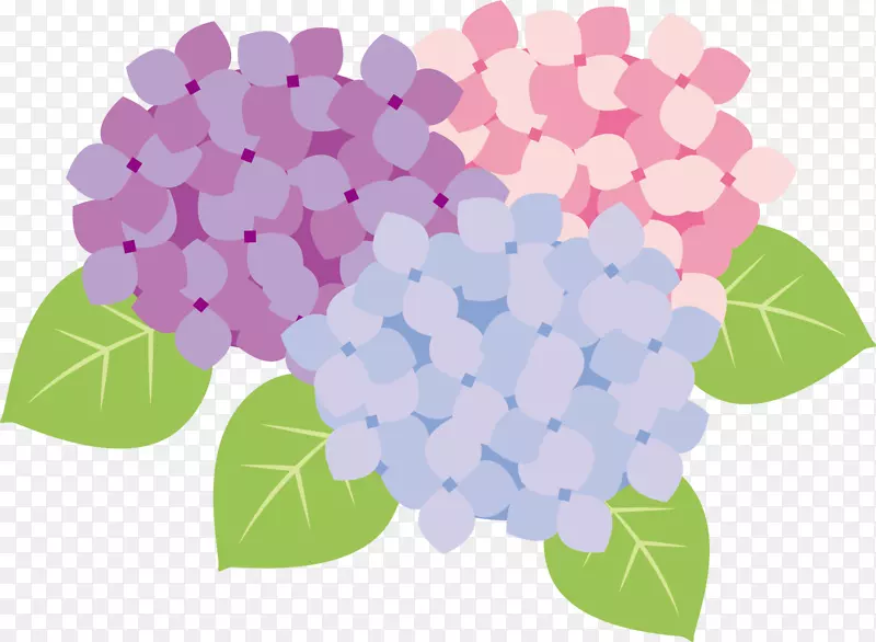 ���������ͨ����-������