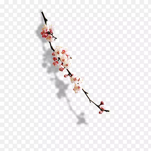 �һ���֦-������