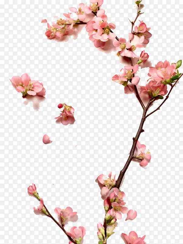 һ֦�һ�-������