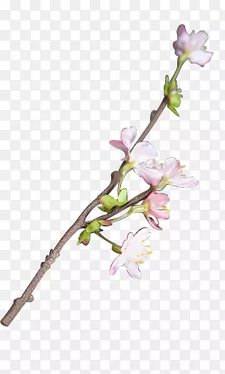 һ֦�һ�-������