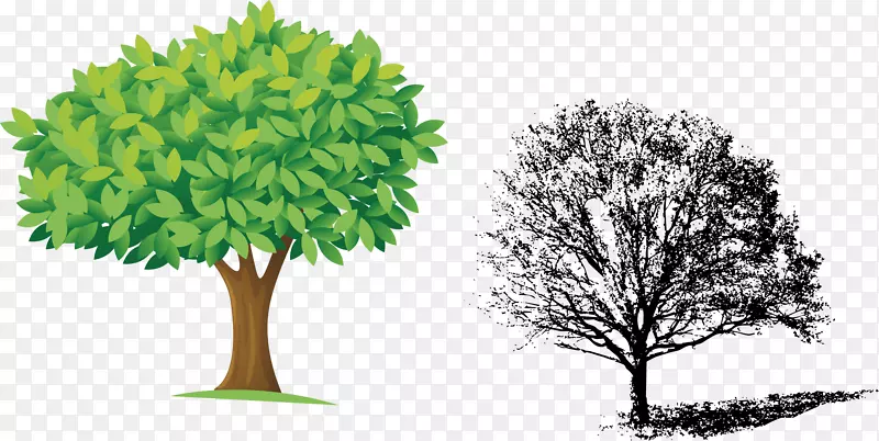 ������Ҷ���ٹ�����Ҷ-������