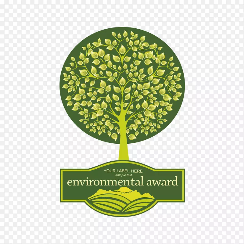 �����߿�-������